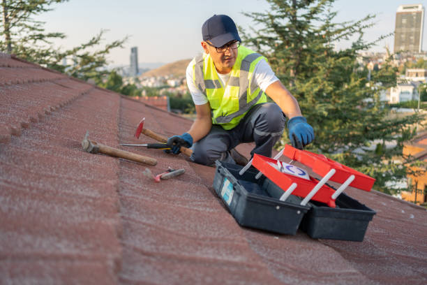 Best Brick Veneer Siding  in Fairview Heights, IL